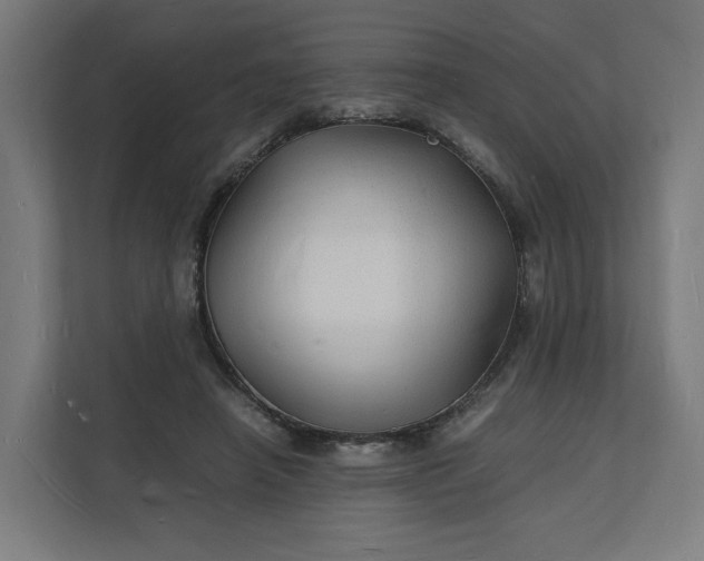 X0000112150450200908211417