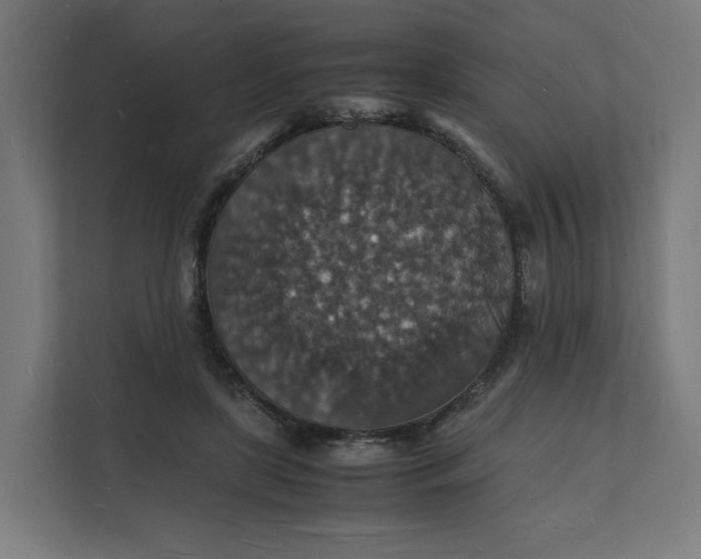 X0000112150451200908211417