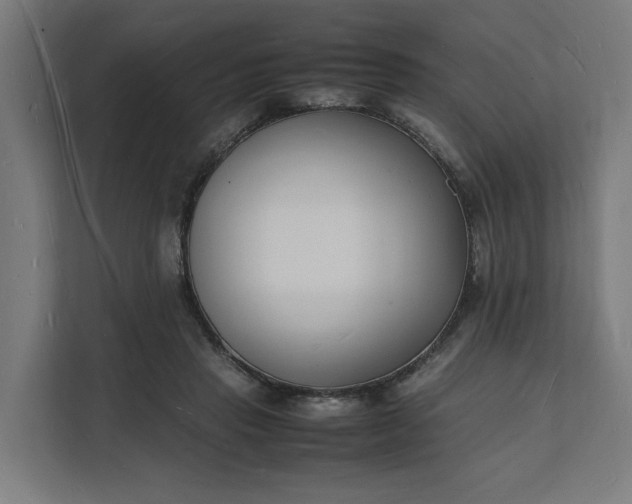 X0000112150453200908211417