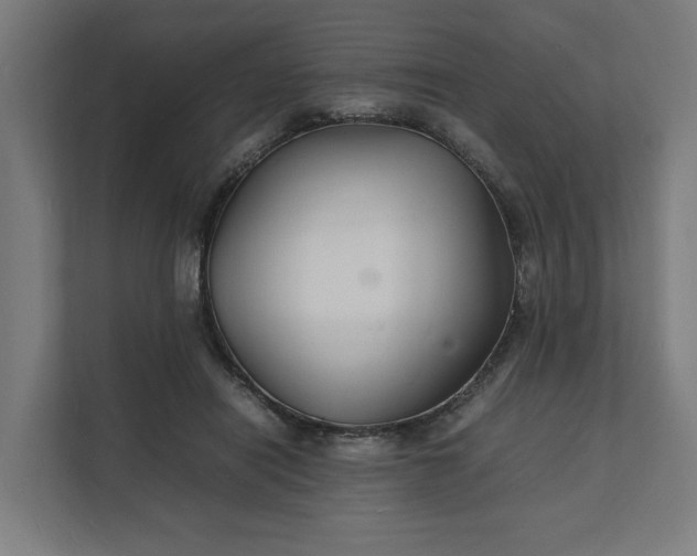 X0000112150454200908211417