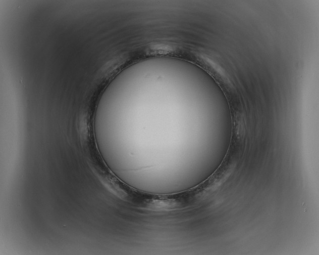 X0000112150455200908211417