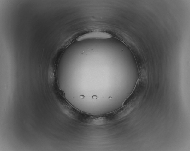 X0000112150456200908211417