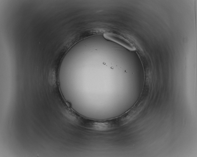 X0000112150457200908211417