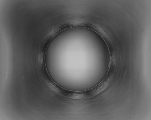 X0000112150458200908211417