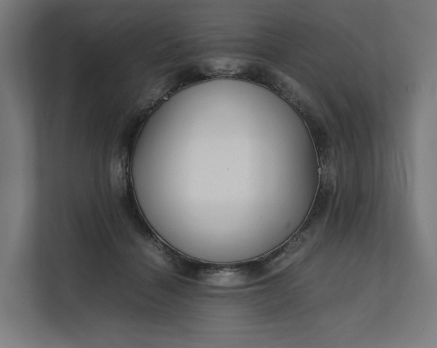 X0000112150460200908211417
