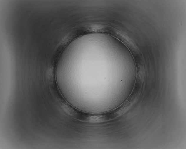 X0000112150461200908211417