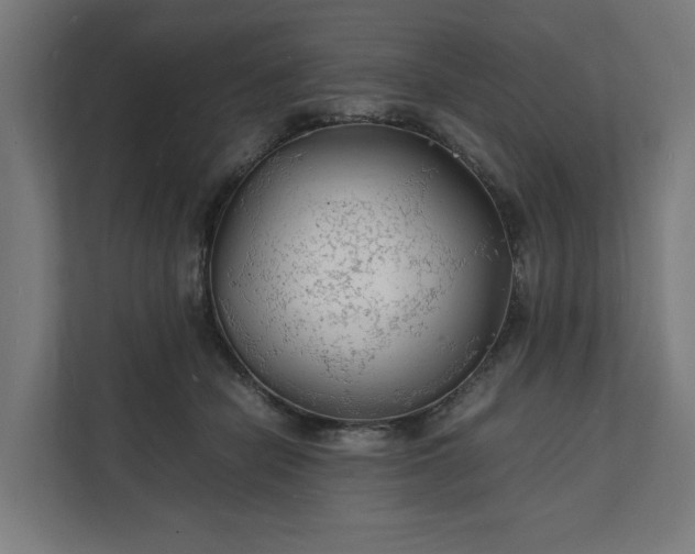 X0000112150462200908211417