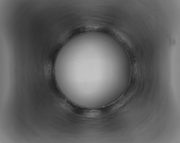 X0000112150463200908211417