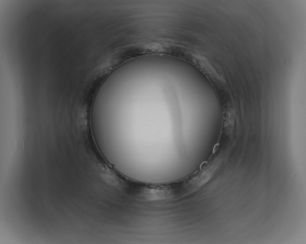 X0000112150466200908211418