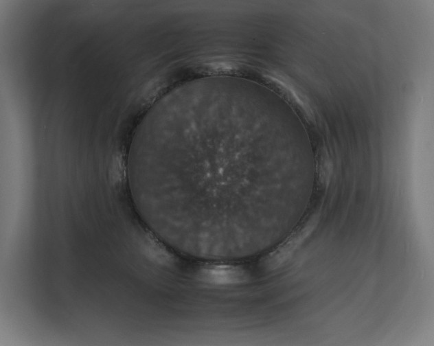 X0000112150467200908211418