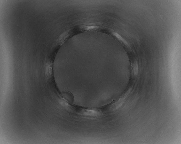 X0000112150475200908211418