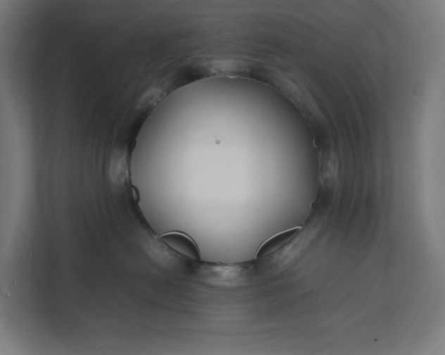 X0000112150478200908211418