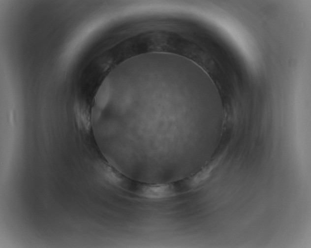 X0000112150479200908211418