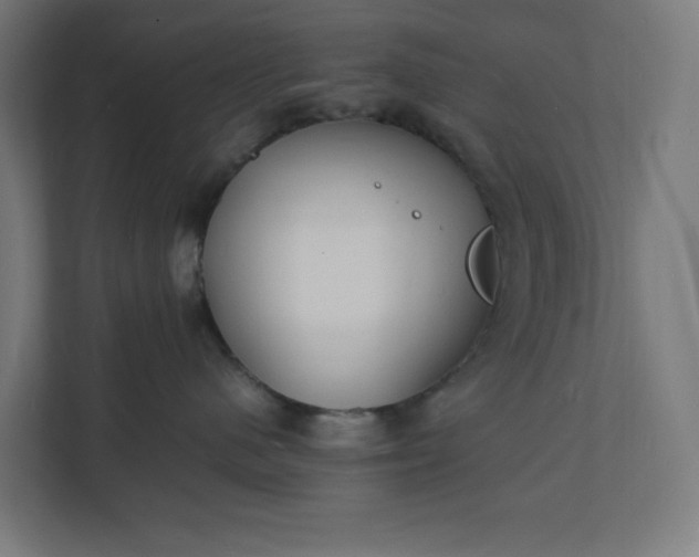 X0000112150480200908211418