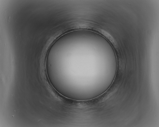 X0000112150481200908211417