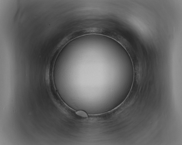 X0000112150482200908211417