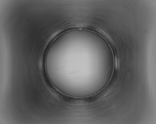 X0000112150483200908211417