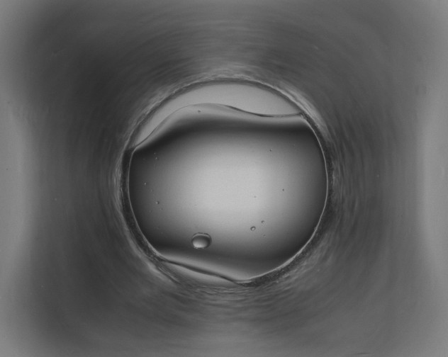 X0000112150485200908211417