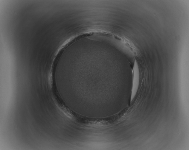 X0000112150488200908211417