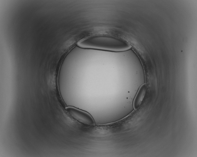 X0000112150489200908211417