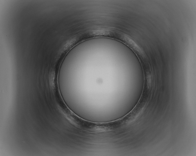 X0000112150490200908211417
