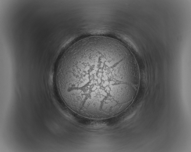 X0000112150491200908211417