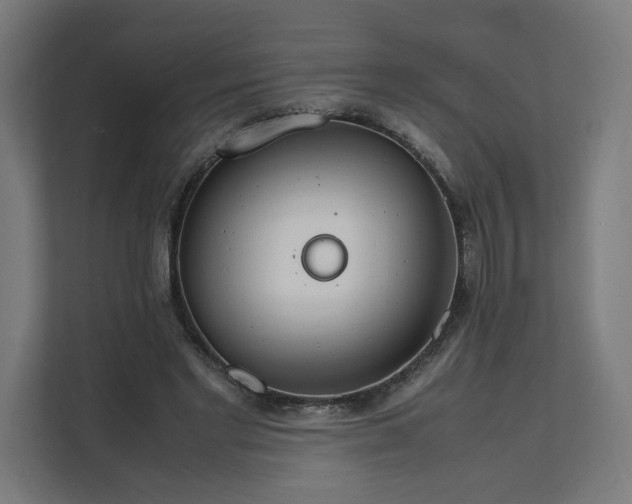 X0000112150493200908211417