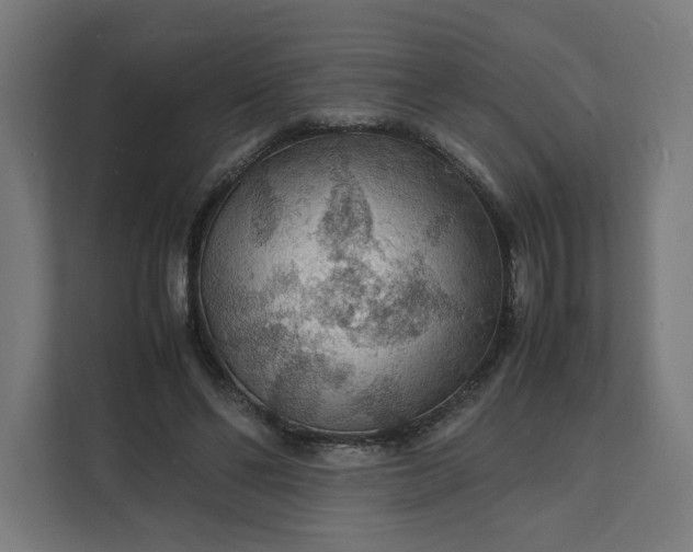 X0000112150494200908211417