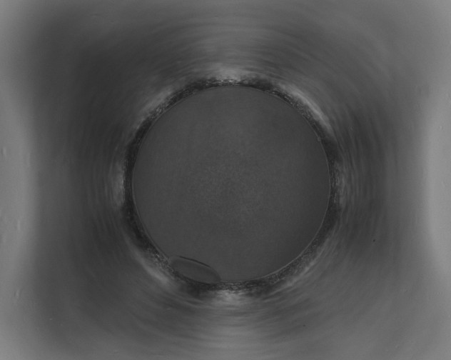 X0000112150496200908211417