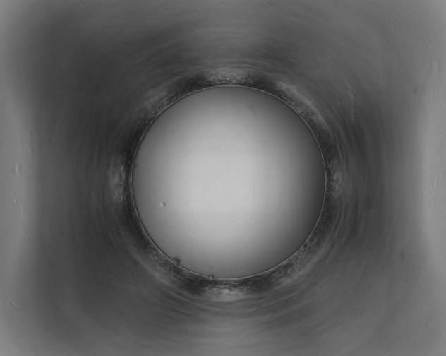 X0000112150498200908211417