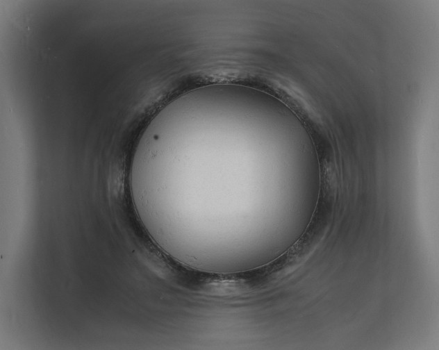 X0000112150499200908211417