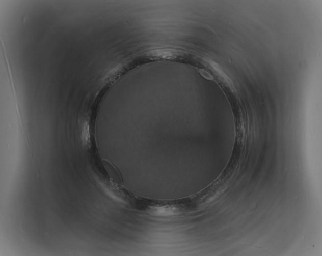 X0000112150500200908211417