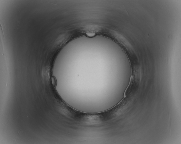 X0000112150501200908211417
