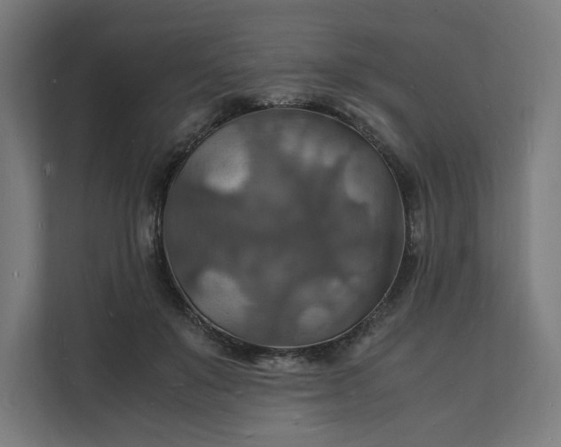 X0000112150503200908211417
