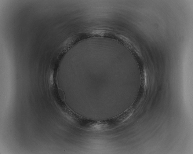 X0000112150504200908211417