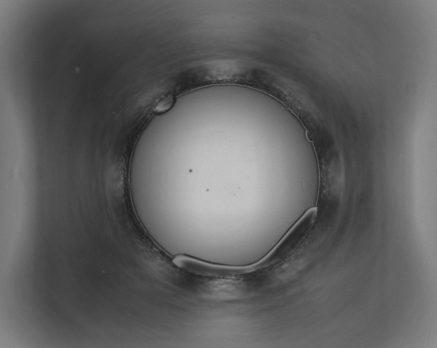 X0000112150505200908211417