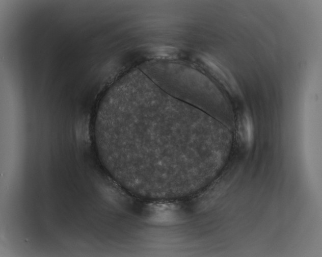 X0000112150512200908211417
