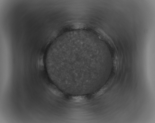 X0000112150516200908211417