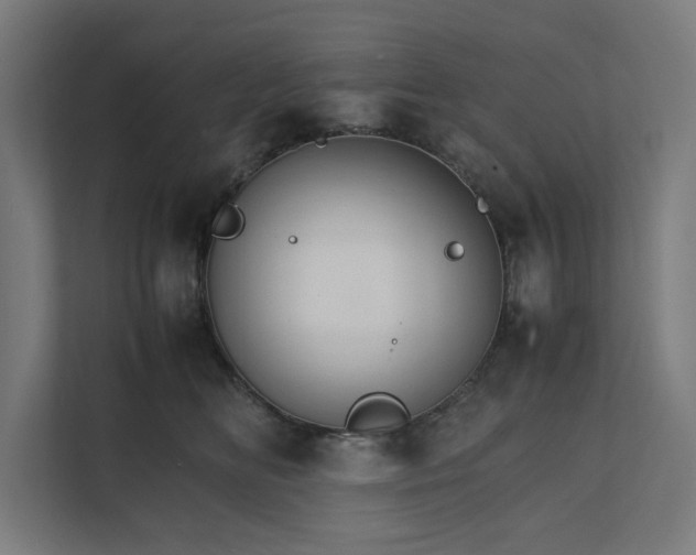 X0000112150518200908211417