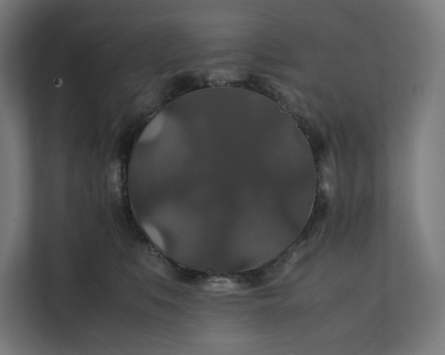 X0000112150519200908211417