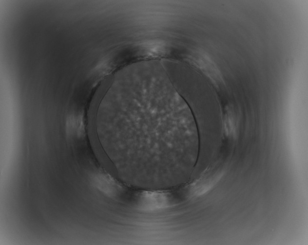 X0000112150520200908211417