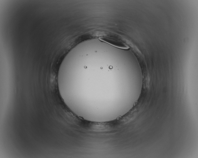 X0000112150521200908211417