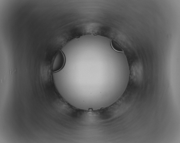 X0000112150522200908211417