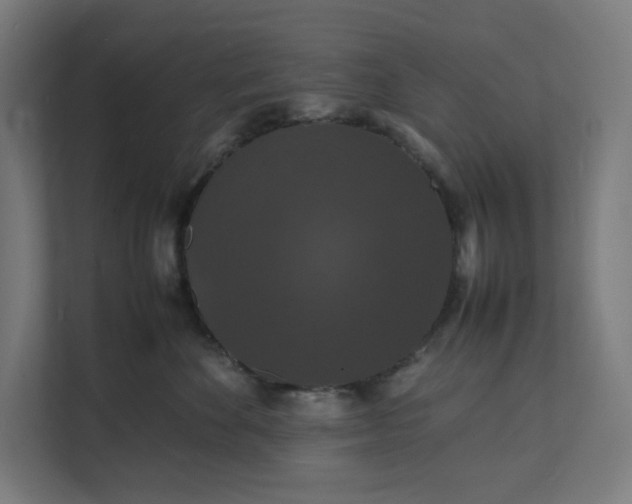 X0000112150524200908211417