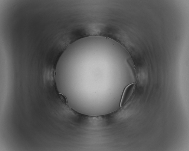 X0000112150525200908211416