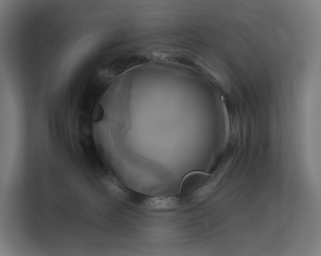X0000112150526200908211416
