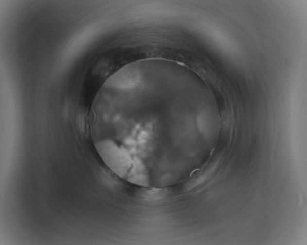 X0000112150527200908211416