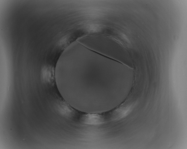 X0000112150528200908211416