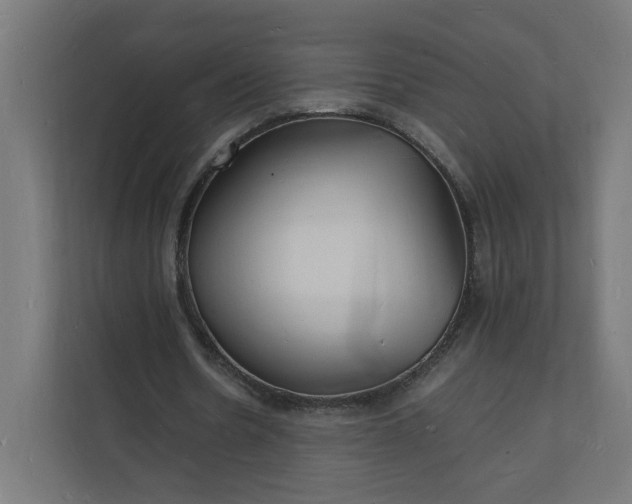 X0000112150530200908211416
