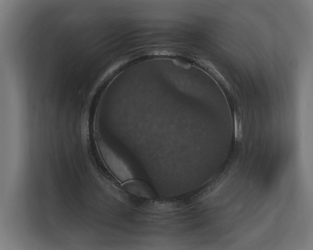 X0000112150531200908211416